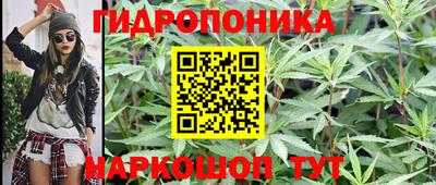 индика Кунгур
