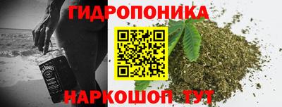индика Кунгур