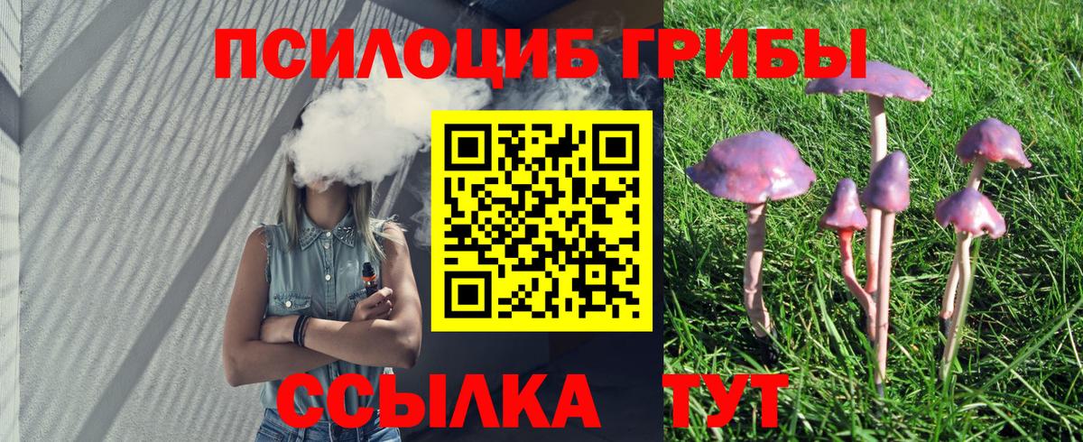 Клин  Псилоцибиновые грибы мухоморы  Вход с VPN 