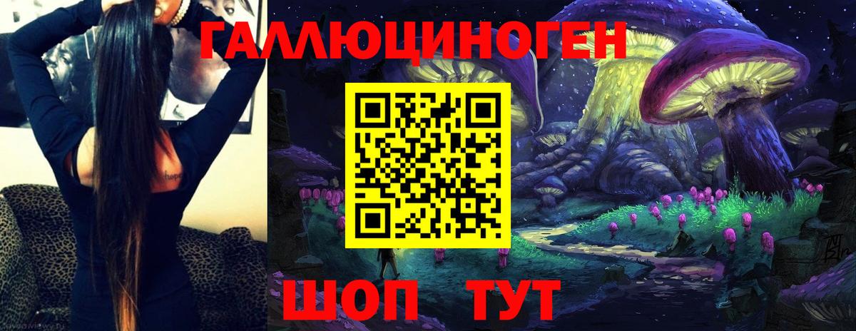 Псилоцибиновые грибы GOLDEN TEACHER Клин